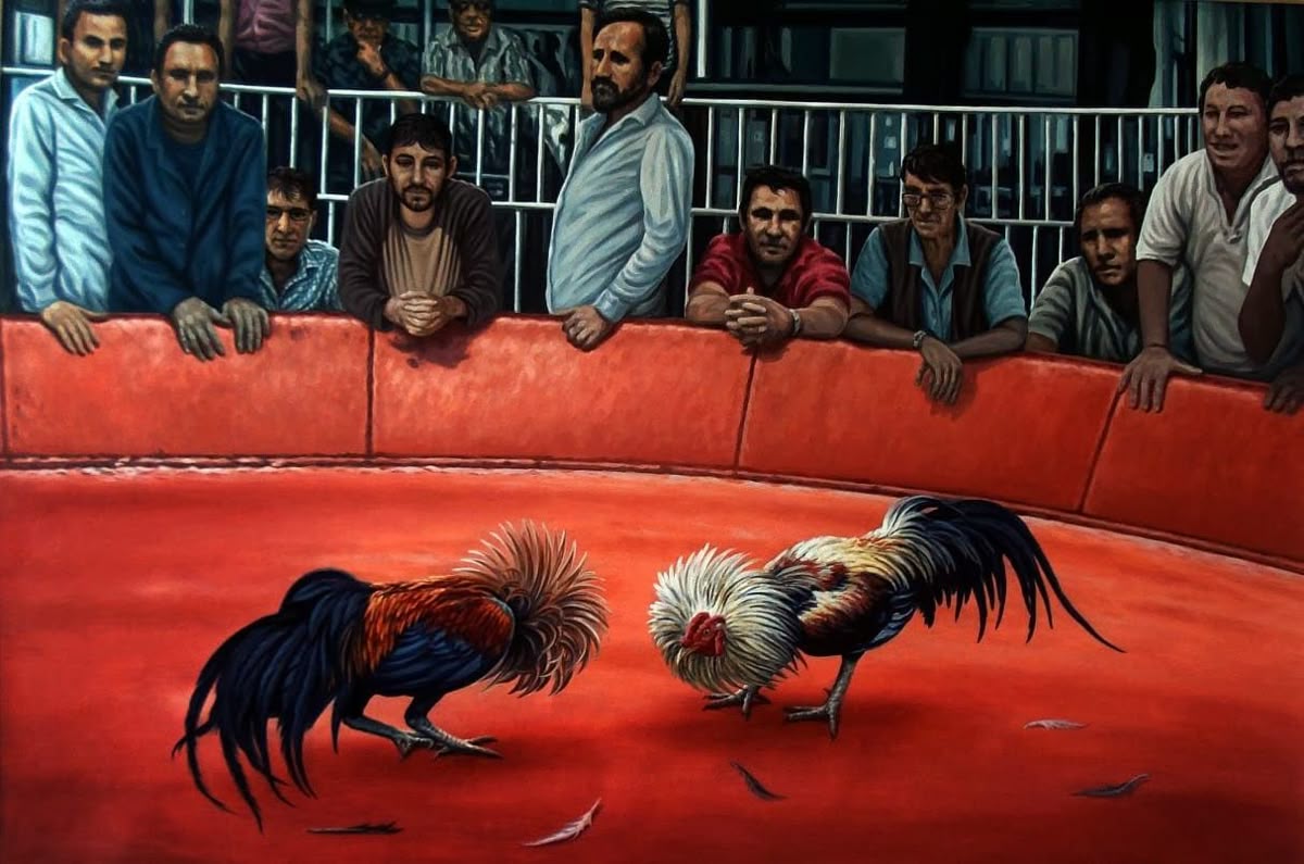 Gà chọi live tại nhà cái sc88